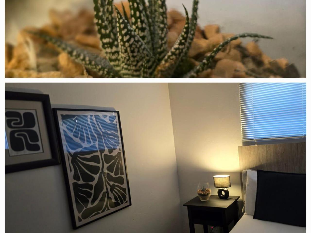 The Lantern Guesthouse Bloemfontein Ngoại thất bức ảnh