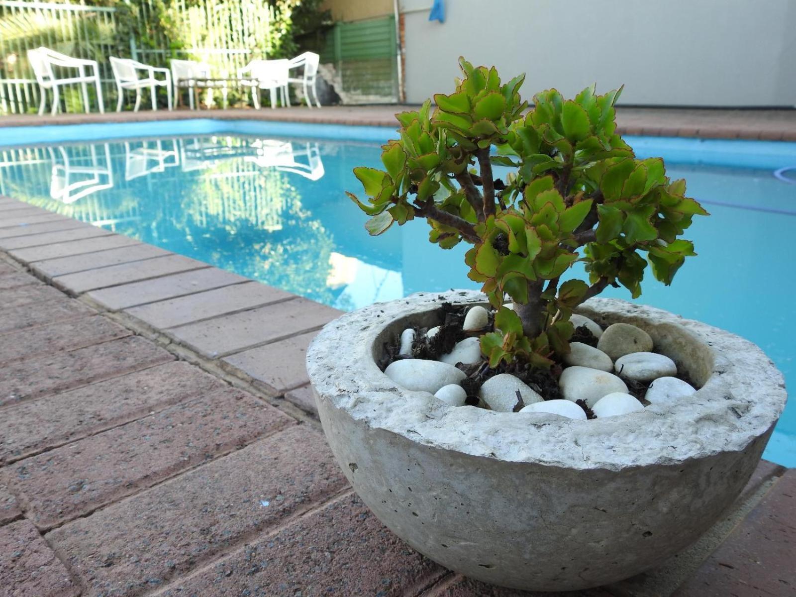 The Lantern Guesthouse Bloemfontein Ngoại thất bức ảnh